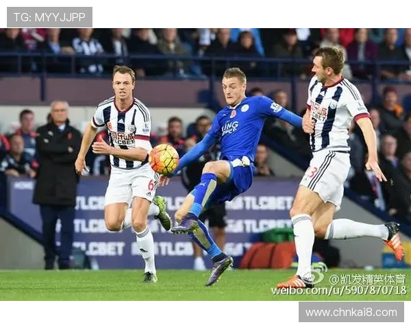 凯发体育平台首页最新登录入口全面解析助你轻松开启体育娱乐新体验